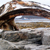 Old whaling station in Kekerten Historic Park, Baffin Island